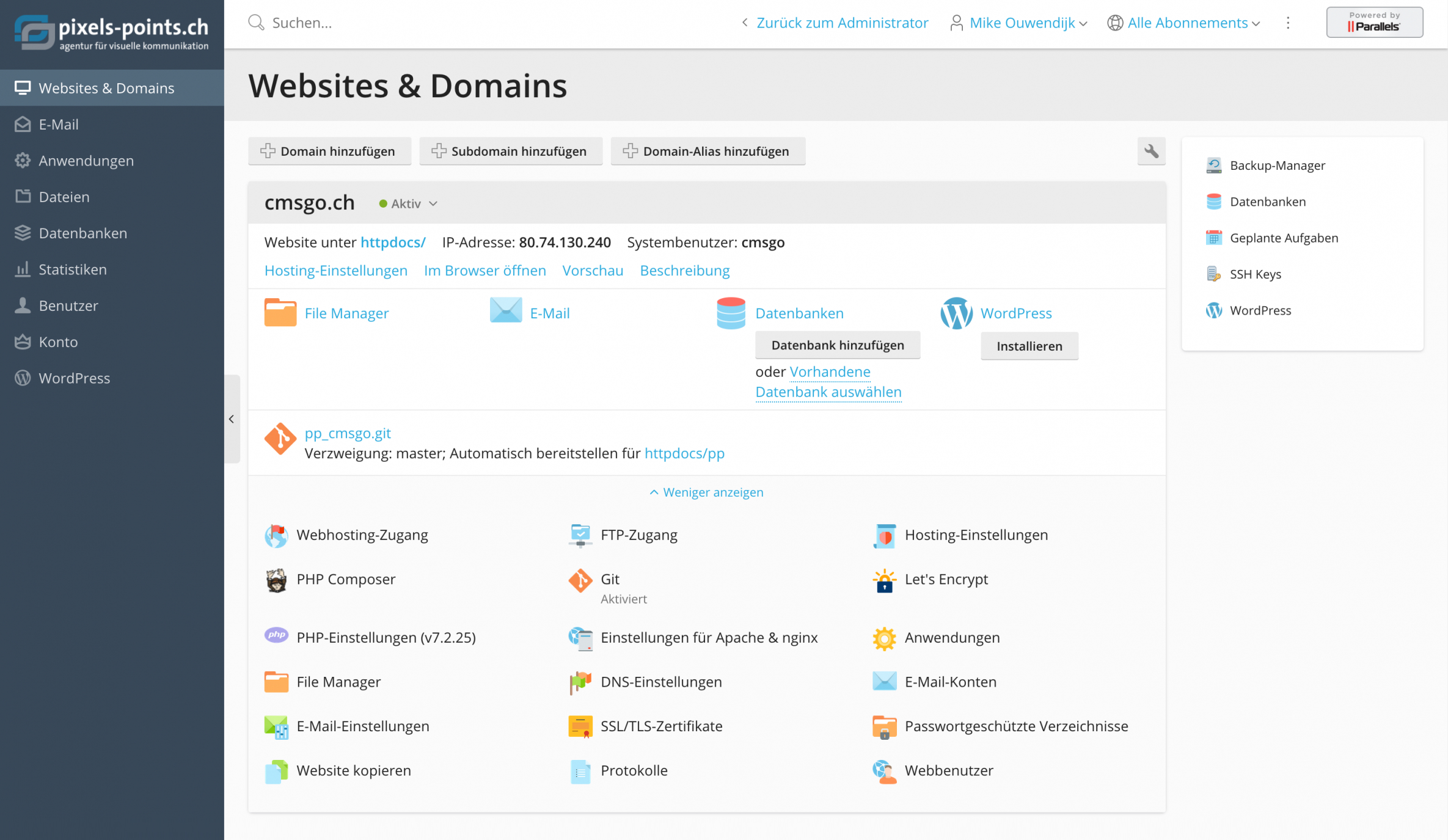 screenshot-pleskpanel.jpg